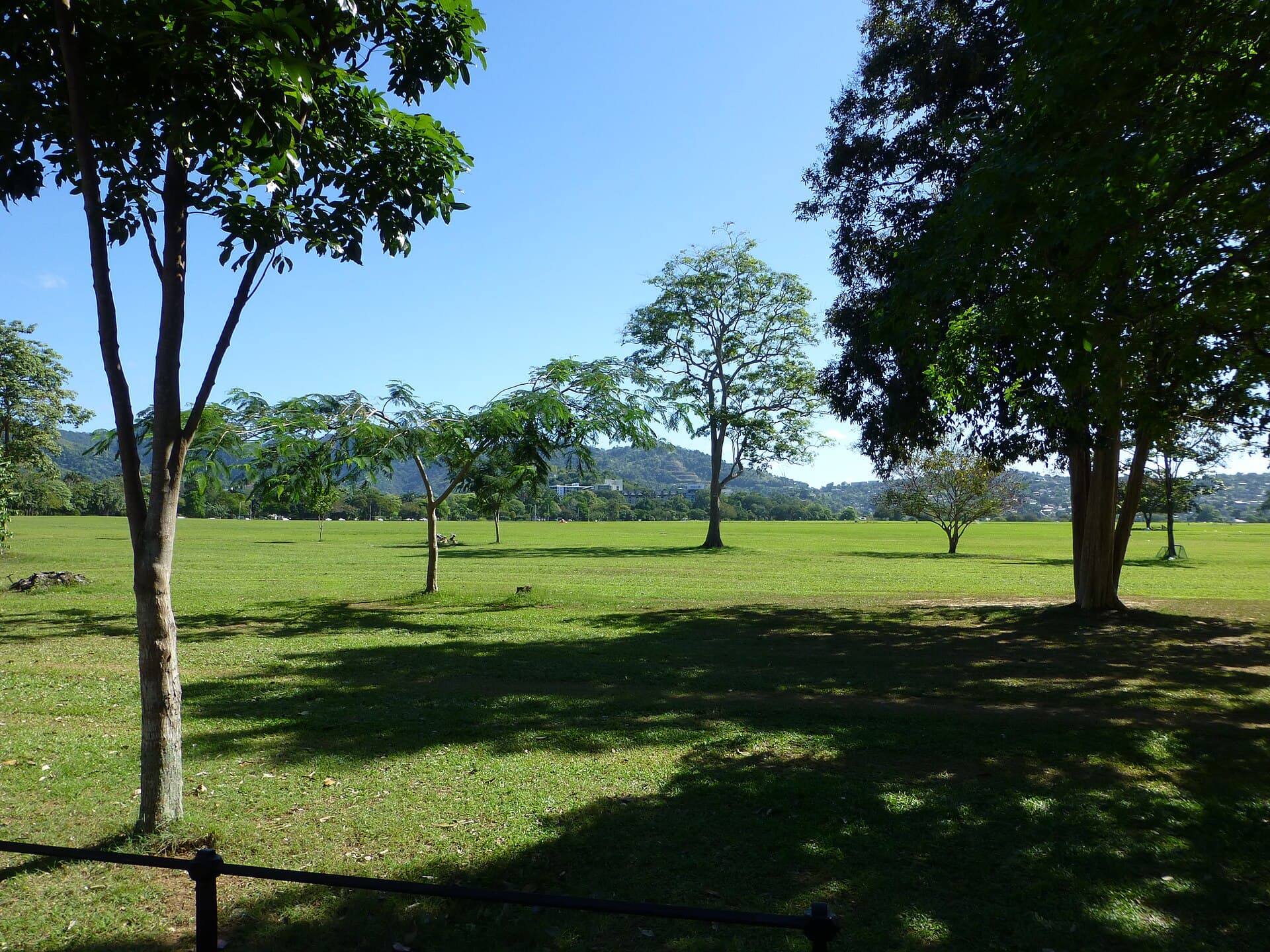Wide green lawn of the Queen's Park Savannah in Port of Spain under a blue sky, with scattered shade trees and forested hills of the Northern Range in the distance